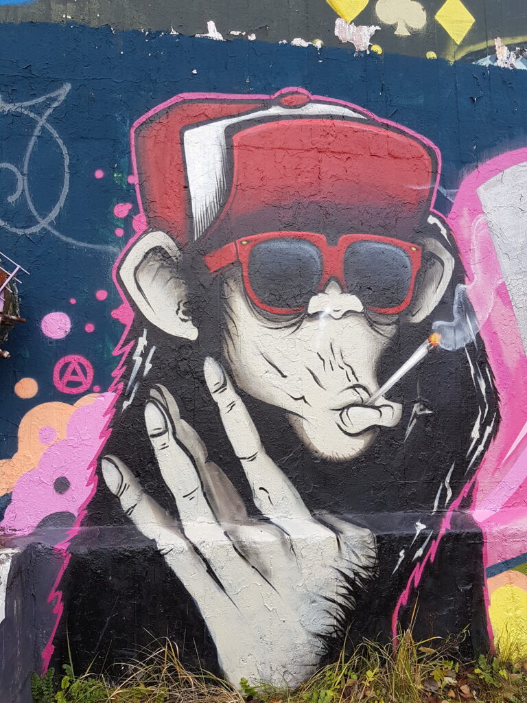 Affe als Graffiti von Planet Alsen
