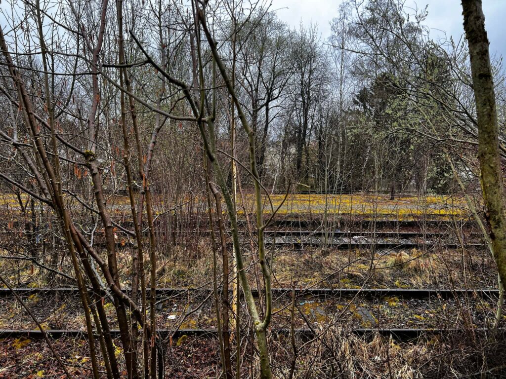 Zwischen Bäumen sind verlassene Schienen eines Lost Place Bahnhofs sichtbar