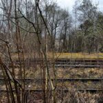Zwischen Bäumen sind verlassene Schienen eines Lost Place Bahnhofs sichtbar