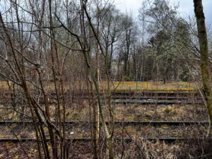 Zwischen Bäumen sind verlassene Schienen eines Lost Place Bahnhofs sichtbar