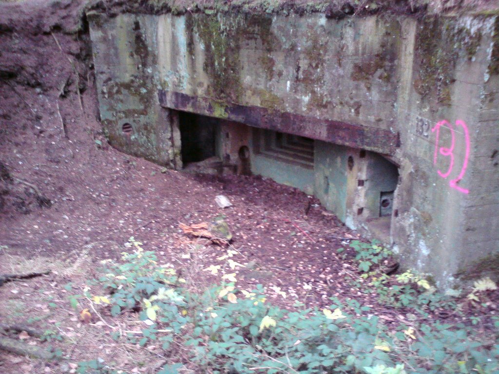 Bunker im Buhlert am Westwall in der Eifel