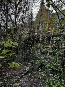 verlassenes gebäude im wald
