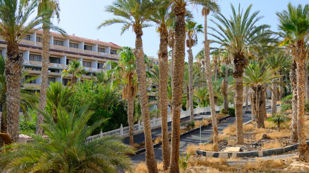 Verlassenes Hotel hinter Palmen auf Fuerteventura