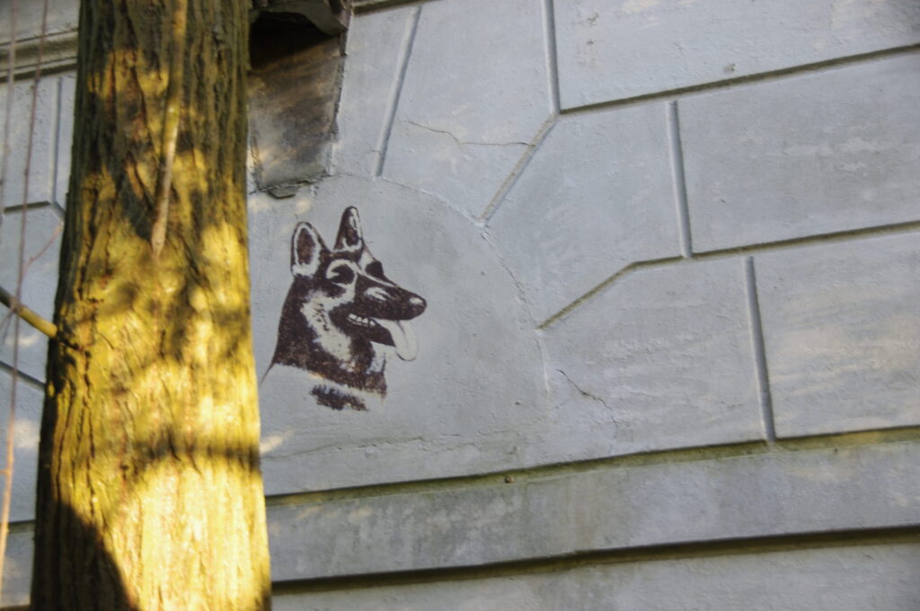 Malerei eines Schäferhunds auf den alten Mauern des Gebäudes