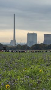 Der Schornstein des RWE Kraftwerks Werne wurde gesprengt