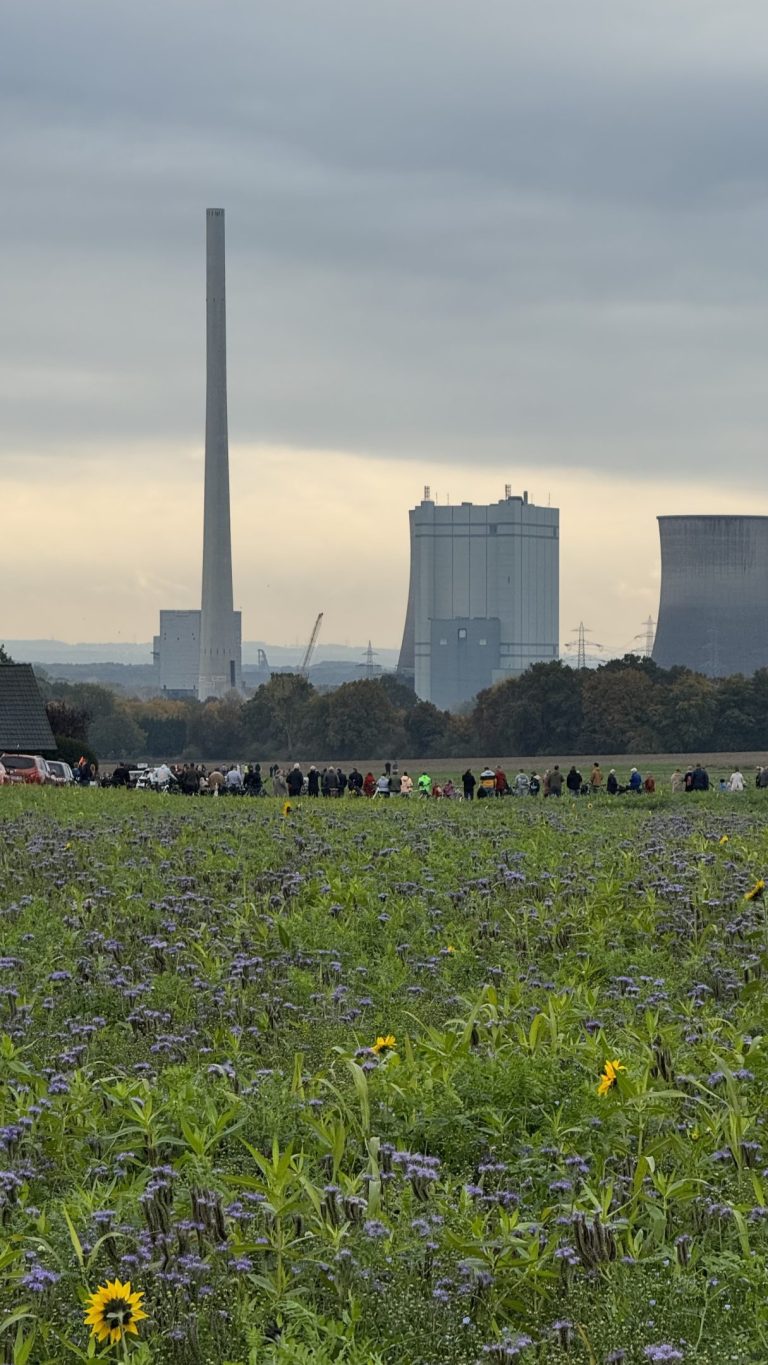 Der Schornstein des RWE Kraftwerks Werne wurde gesprengt